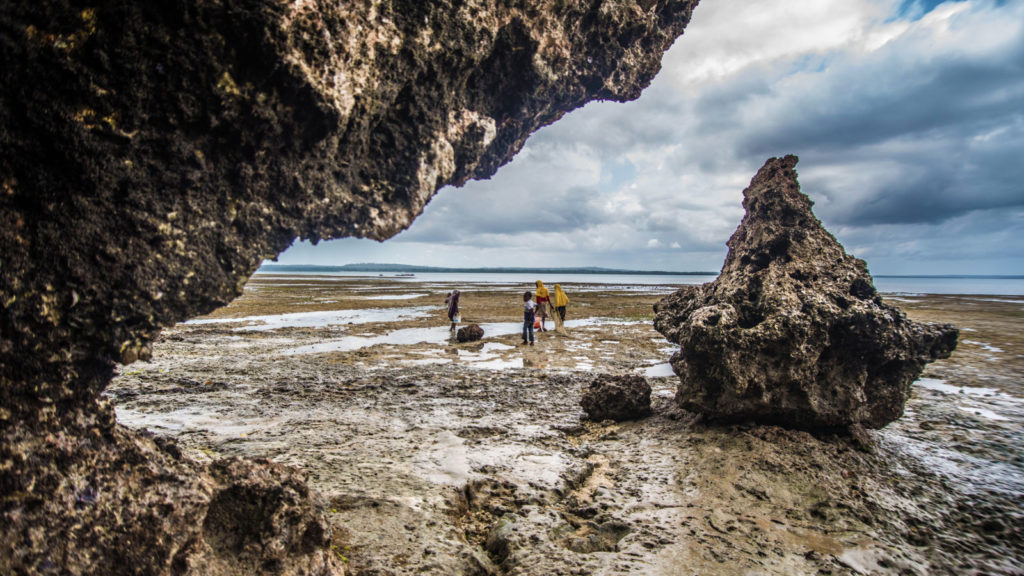 A group walking across sand in the distance, in Zanzibar, Tanzania